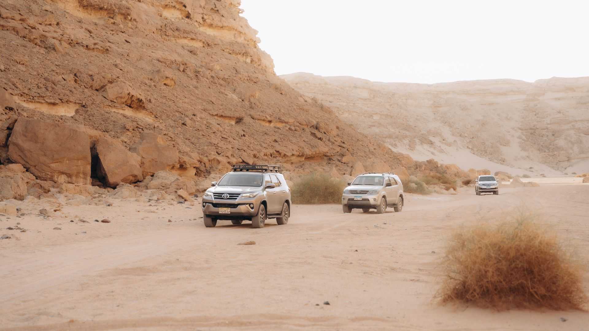 Privates BBQ-Dinner und Sternenbeobachtung in der Wüste bei Hurghada und El Gouna